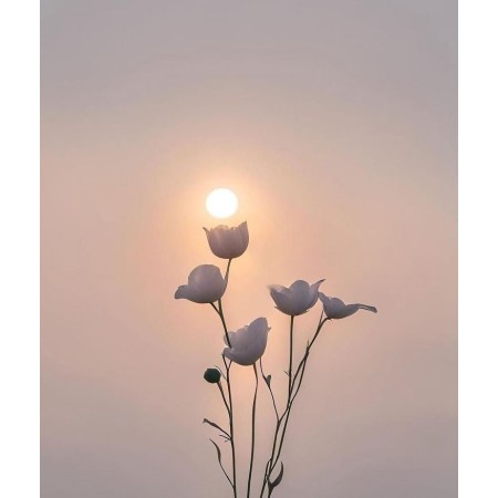 guru plc: Sayyidah Afina Salsabila Nst