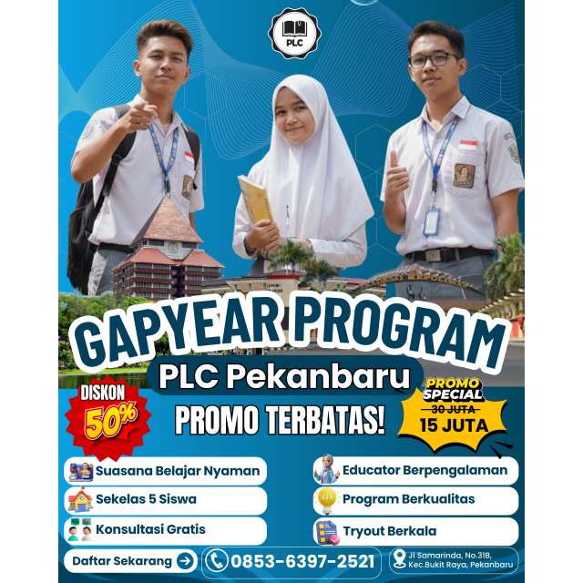 program-gap-year