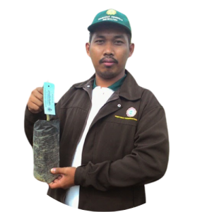 Teknisi Perkebunrayaan Terampil